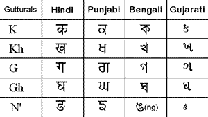Punjabi Translation Information