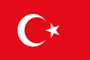English to Turkish Translation Services