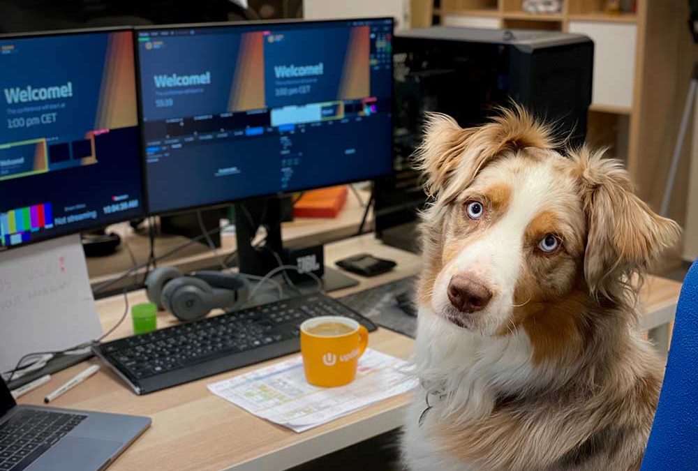 The Benefits of Having Your Pet at Work