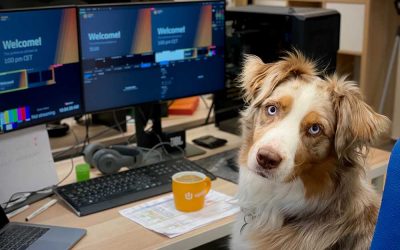 The Benefits of Having Your Pet at Work